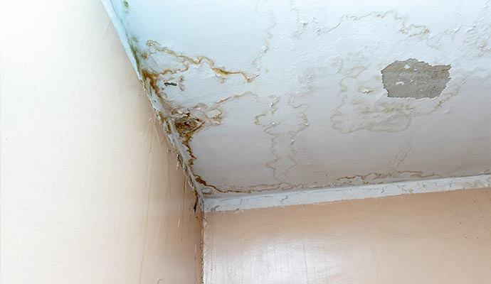Ceiling Stain Resized
