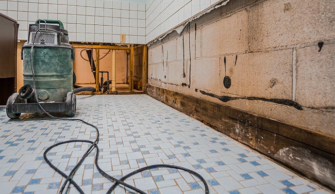 cleaning mold