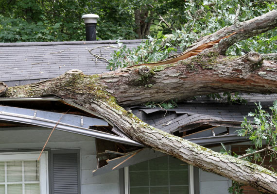 storm damage restoration