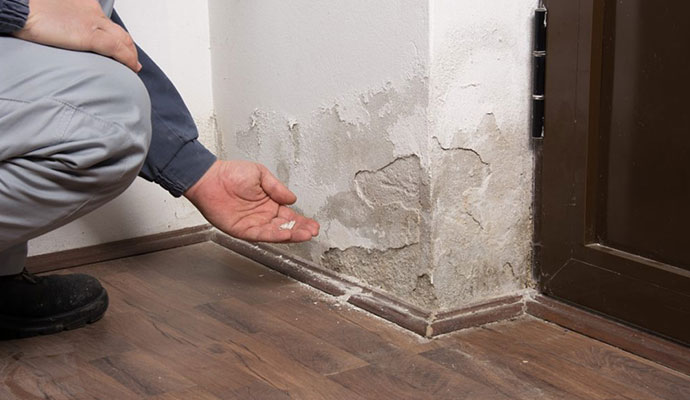 Structural water restoration