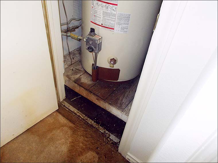 Recognizing the Signs of Water Damage in Dallas/Fort Worth TX